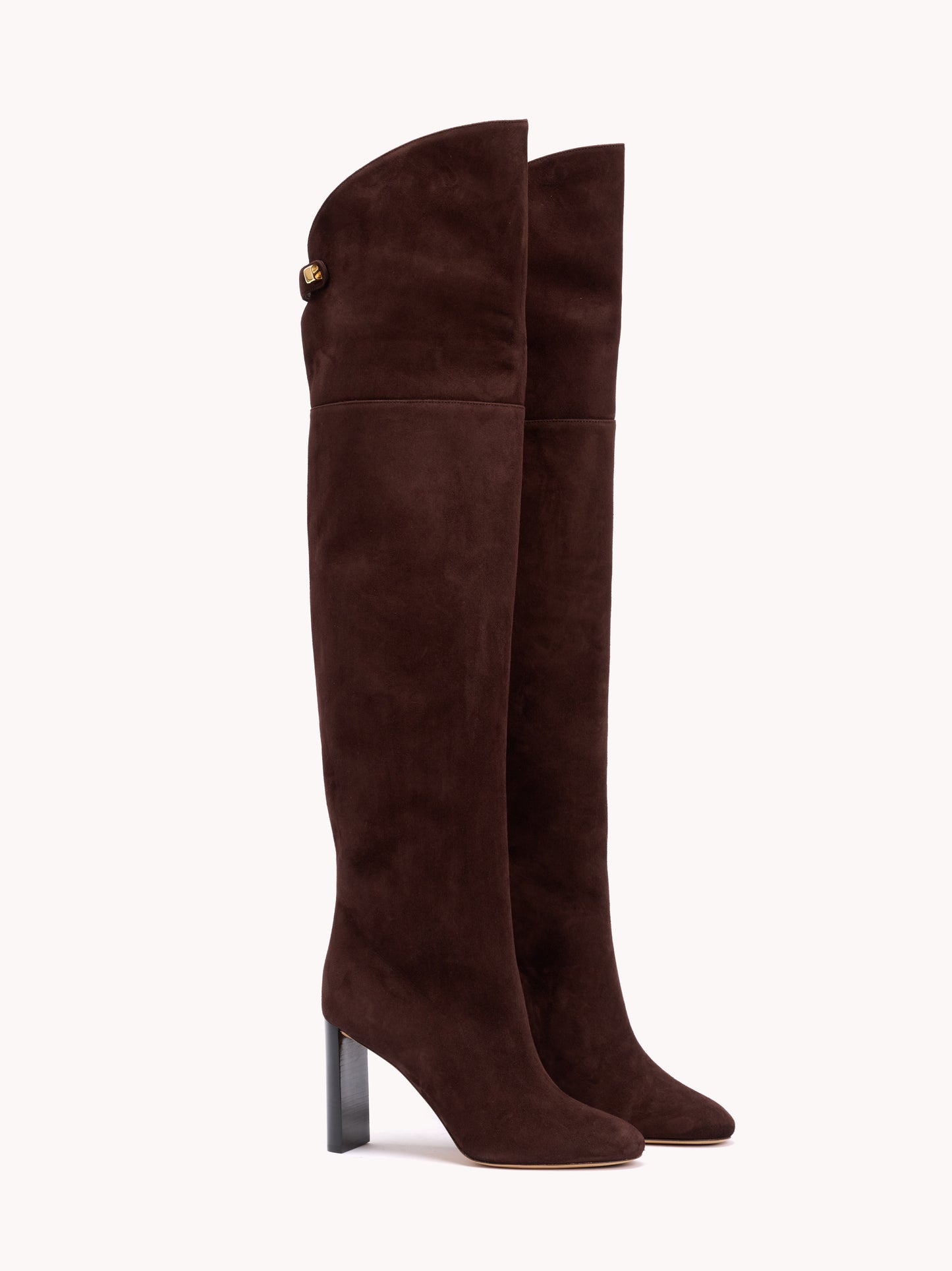 suede calf thigh boots in brown maison skorpios by adriana abascal Emanuele filiberto Clotilde Courau